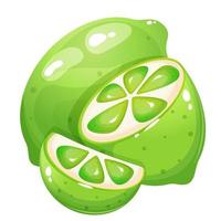 Cartoon style lime with small and big lime slices. vector