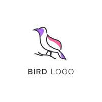 minimalista monoline línea Arte pájaro logo diseño vector, vector línea Arte de resumen vistoso colibrí, contorno pájaro logo diseño