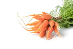 Fresh organic carrots with green leaves isolated photo