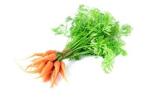 Fresh organic carrots with green leaves isolated photo