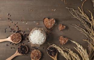 Row of white jasmine rice with various rice photo