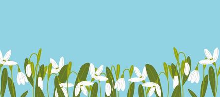 Snowdrop on a blue background. First spring flowers. Spring holiday card with place for text. Elongated background. vector