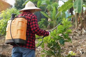Asian gardener uses herbicides, insecticides chemical spray to get rid of weeds and insects or plant disease in orchard. Cause air pollution. Environmental , Agriculture chemicals concept. photo