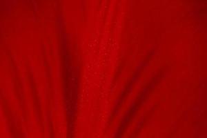 close up of red tulip petal photo