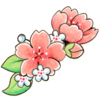 Watercolor cherry blossom decoration png