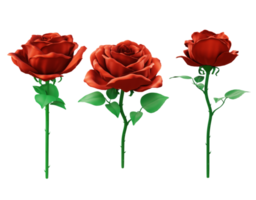 3d rendering of a rose flower in shiny clean red color from various perspective view png