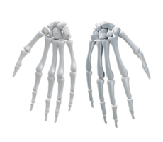 3d representación de humano palma mano huesos perspectiva ver png