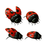 3d rendering of animal ladybug wings open and closed perspective view png