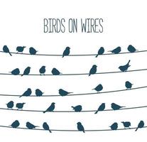 Sparrow birds flock on power line wires background vector