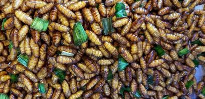 Many fried insect and worm with sliced of banana leaves for sale at street food market. Asian food, Animal, Special menu and Pattern background. High protein food. photo