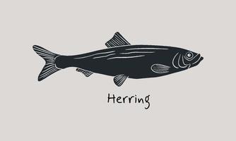 Hand drawn herring fish in sketch style. Simple vector isolated illustration on beige background