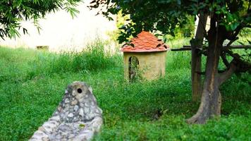 small hut in the forest photo