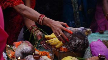 chhath puja ,hindú devoto oferta prasad ,frutas, vegetales foto