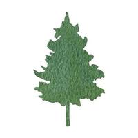 mano dibujado acuarela abeto árbol bosque clipart vector