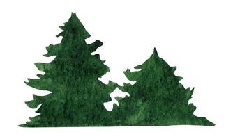 Hand drawn watercolor fir tree forest clipart vector