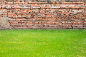 Old brick walls texture and grass green for background photo