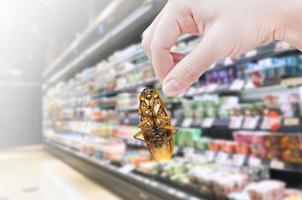 Hand holding cockroach in the supermarket,eliminate cockroach in shopping mall photo