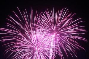 purple fireworks in night sky photo