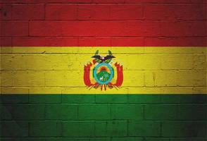 Flag of Bolivia painted on a wall photo