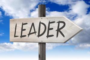 Leader - Wooden Signpost with one Arrow and Cloudy Sky in Background photo