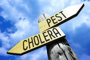 Plague or Cholera in German - Wooden Signpost with Two Arrows and Sky in Background photo