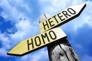 Hetero, Homo - Wooden Signpost with Two Arrows and Sky in Background photo