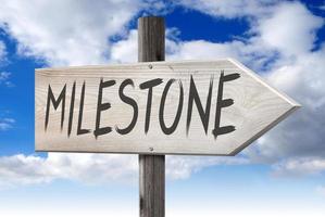 Milestone - Wooden Signpost with one Arrow and Cloudy Sky in Background photo