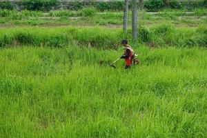 Bogor, Indonesia, 2023 - Top view of a man in a robe mowing the grass with a trimmer photo