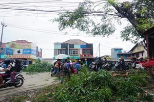 Bogor, Indonesia, 2023 - A number of workers were cutting trees photo