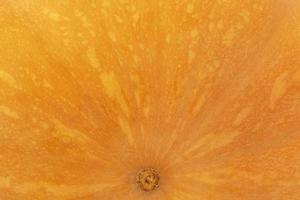 cerca arriba de brillante naranja maduro calabaza foto