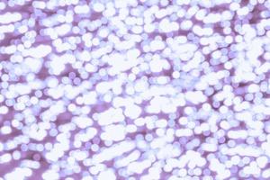 holiday background, violet bokeh circles photo