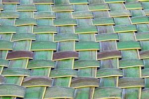 Green leaves pattern,Weaving coconut leaf texture photo