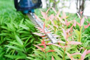 Gardener trimming bush by electric hedge clippers in garden. Hobby at home. photo