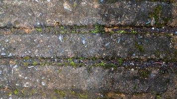 old concrete roads that have started to break down and are mossy photo