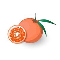 Tangerine with leaf and sliced tangerine. Icon of orange fruit in cartoon style isolated on white background.Design for print on fabric, wrapping paper, wallpaper, packaging. Vector illustration