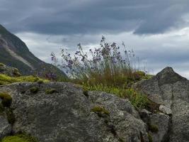 navegando por los fiordos de noruega foto