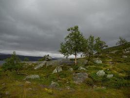 navegando por los fiordos de noruega foto