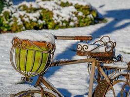 horario de invierno en el jardín foto