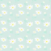 Seamless pattern of daisies on pastel green in flat style. vector