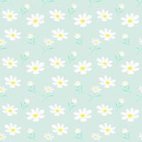 Seamless pattern of daisies on pastel green in flat style. vector