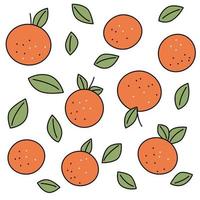 collection of oranges with leaves in flat style with stroke vector