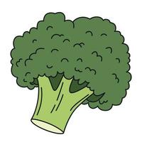 Broccoli thin line vector icon. Simple vegetarian food sign