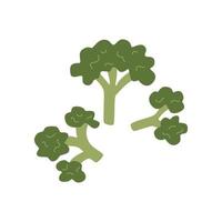 Broccoli set. Vector Natural vegetable food illustration