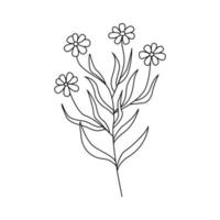 Chamomile flowers. Twig with several flowers daisy. Vector doodle