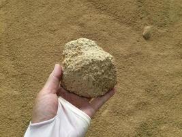 Animal feed yellow  granules, agglomerate In the hands of farmers photo