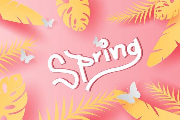 3D Paper art of illustration Summer Tropical leaf palm decoration on placed text background, Paper cut origami exotic Hawaii style forest,Summertime pastel sweet color comfortable for frame,vector.