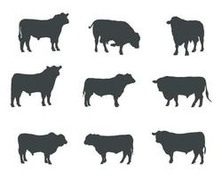 Aberdeen angus silhouettes , Aberdeen angus silhouette set vector