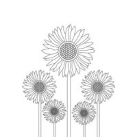 Sunflower Coloring Page And Book Hand Drawn Line Art Vector