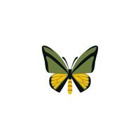 a beautiful butterfly. colored butterfly logo. vector