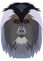 Lion-tailed macaque. The face of the monkey is depicted in vector style. A vivid image of a primate. Logo, illustration on a white background.